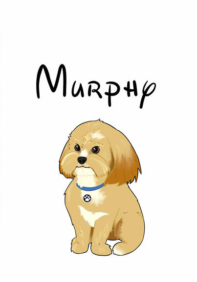 Pet Portrait